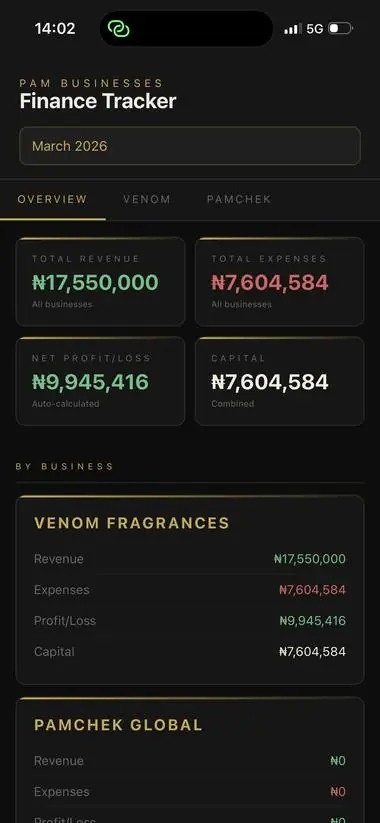 Finance Tracker app built by Pamela showing ₦17.5M revenue across her businesses